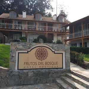 Hotel Frutos del Bosque Zacatlán Exterior photo
