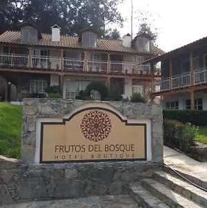 Hotel Frutos del Bosque Zacatlán Exterior photo