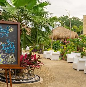 Tsaakik Jungle Hotel & Spa Cancún Exterior photo