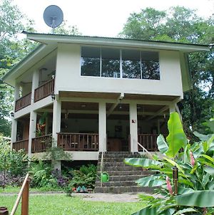 Heliconia Island Bed and Breakfast Sarapiquí Exterior photo
