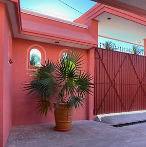 The Pink Jungle House In El Cuyo Villa Exterior photo