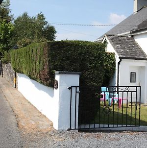 5-Star Bed And Breakfast Or Full Cottage Rental "Mon Petit Cottage" Bunclody Exterior photo