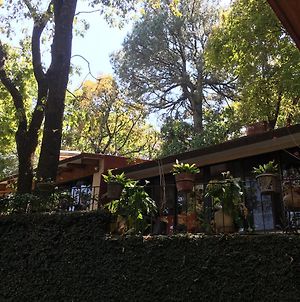 Bungalow Zona Bosque Cuernavaca Exterior photo