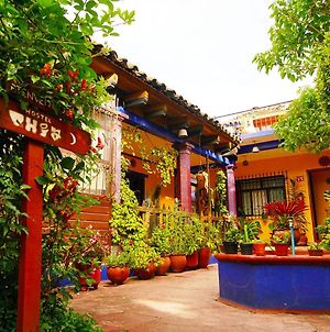 Qhia Albergue San Cristóbal de Las Casas Exterior photo